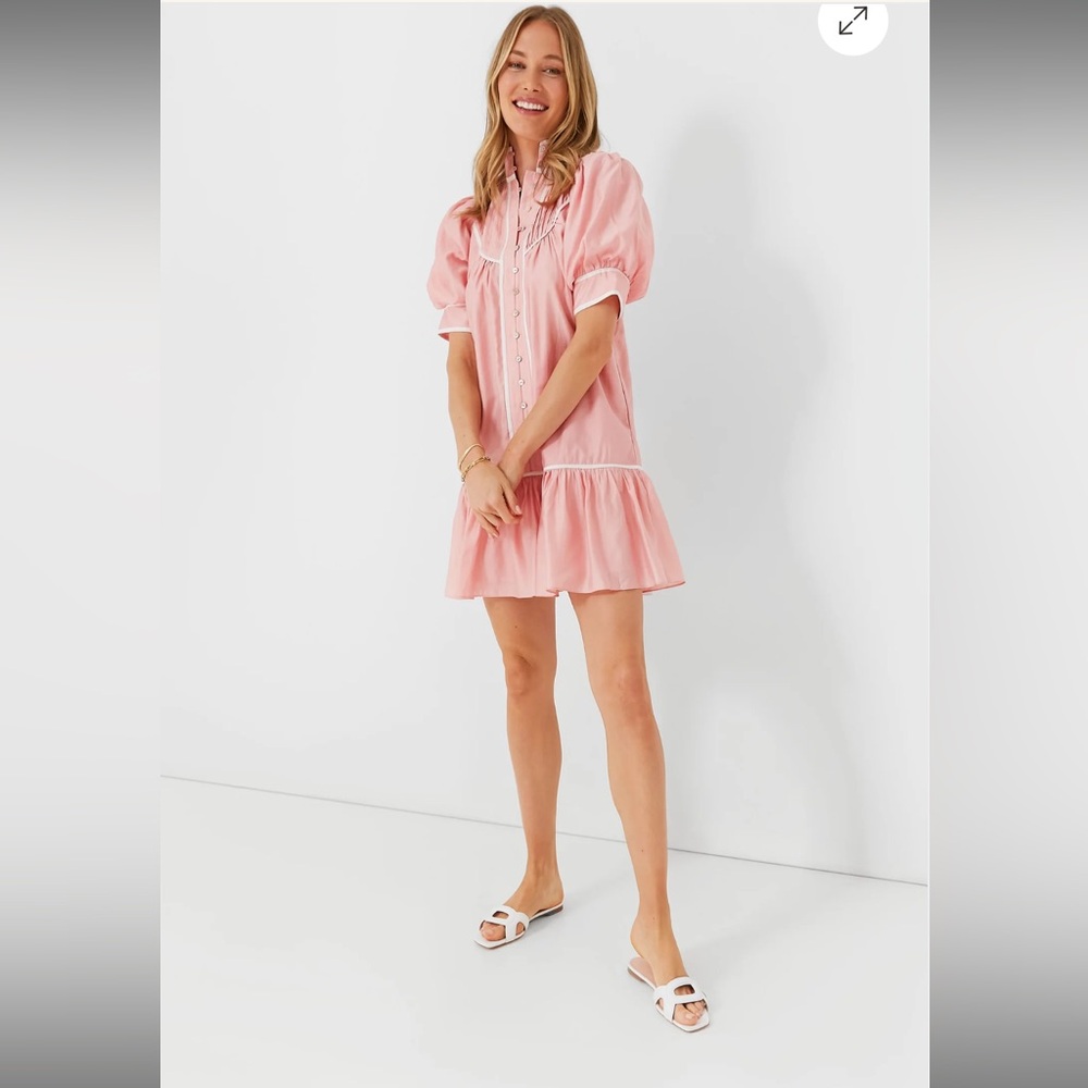Tuckernuck pink puff sleeve mini dress